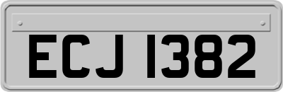 ECJ1382