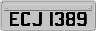 ECJ1389