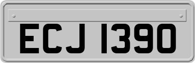 ECJ1390