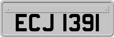 ECJ1391