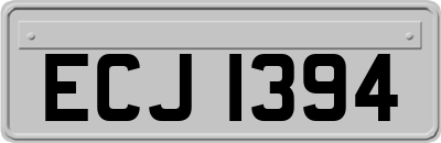 ECJ1394