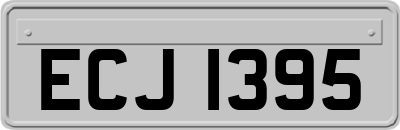 ECJ1395