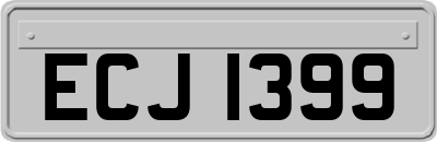 ECJ1399