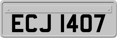 ECJ1407
