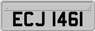 ECJ1461