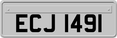 ECJ1491