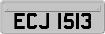 ECJ1513