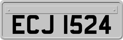 ECJ1524
