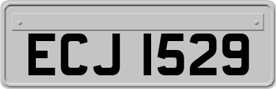 ECJ1529