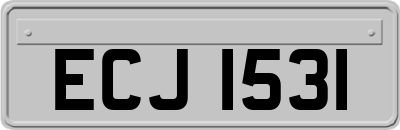 ECJ1531