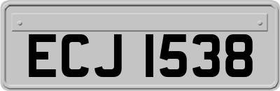 ECJ1538