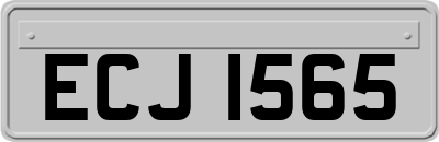 ECJ1565