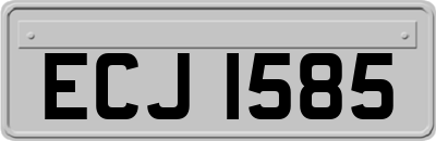 ECJ1585