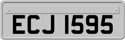 ECJ1595