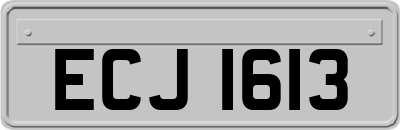 ECJ1613