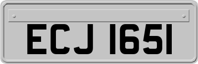ECJ1651