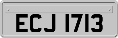 ECJ1713