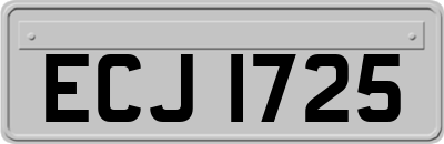 ECJ1725