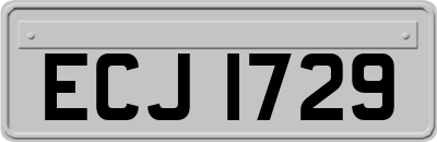 ECJ1729