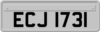 ECJ1731