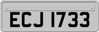 ECJ1733