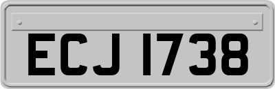 ECJ1738