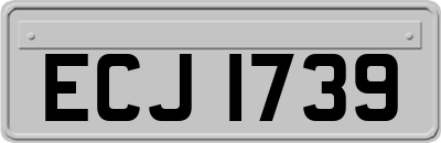 ECJ1739