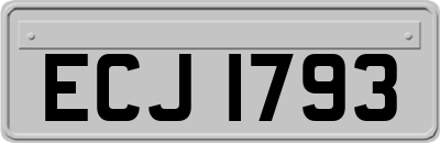 ECJ1793
