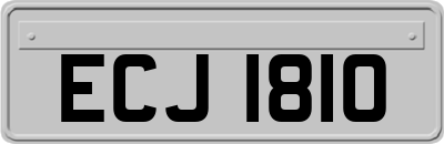 ECJ1810