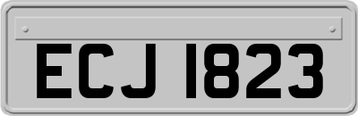 ECJ1823
