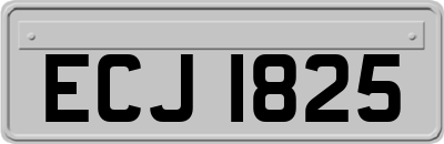 ECJ1825