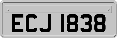 ECJ1838