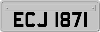 ECJ1871