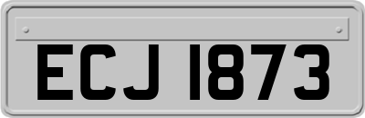 ECJ1873