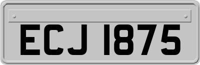 ECJ1875