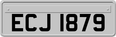 ECJ1879