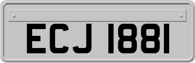 ECJ1881