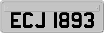 ECJ1893