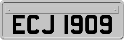 ECJ1909