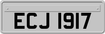 ECJ1917