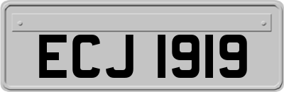 ECJ1919