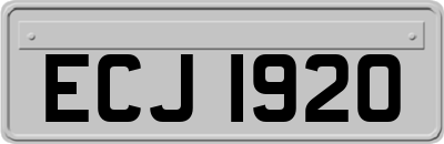 ECJ1920