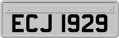 ECJ1929