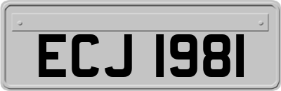 ECJ1981