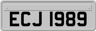 ECJ1989