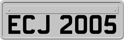 ECJ2005
