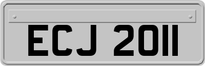 ECJ2011