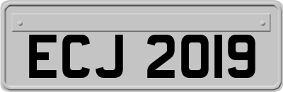 ECJ2019