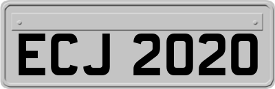ECJ2020
