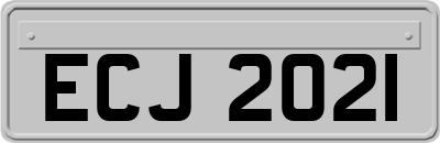 ECJ2021